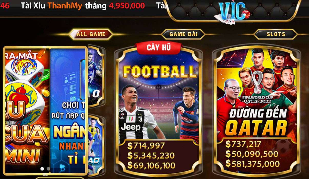 Vicwin hay