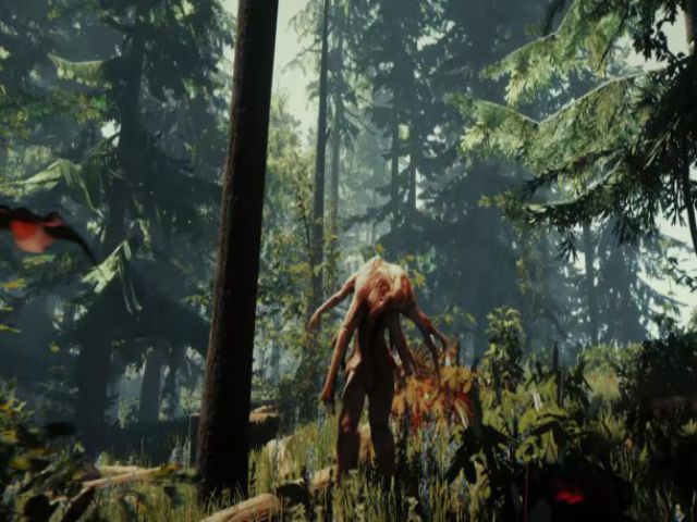 Một vài thông tin sơ bộ về với cốt truyện và cấu hình The Forest